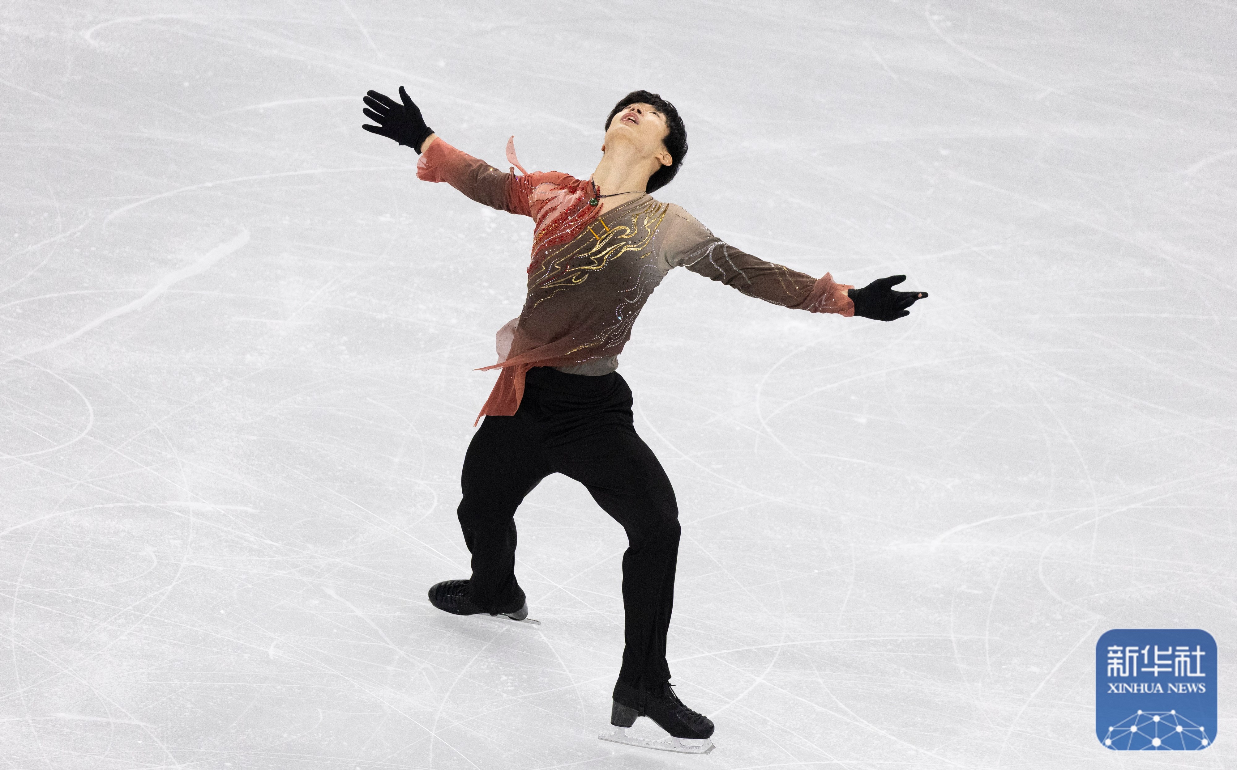 关于花样滑冰选手展现出色表现，斩获冠军的信息