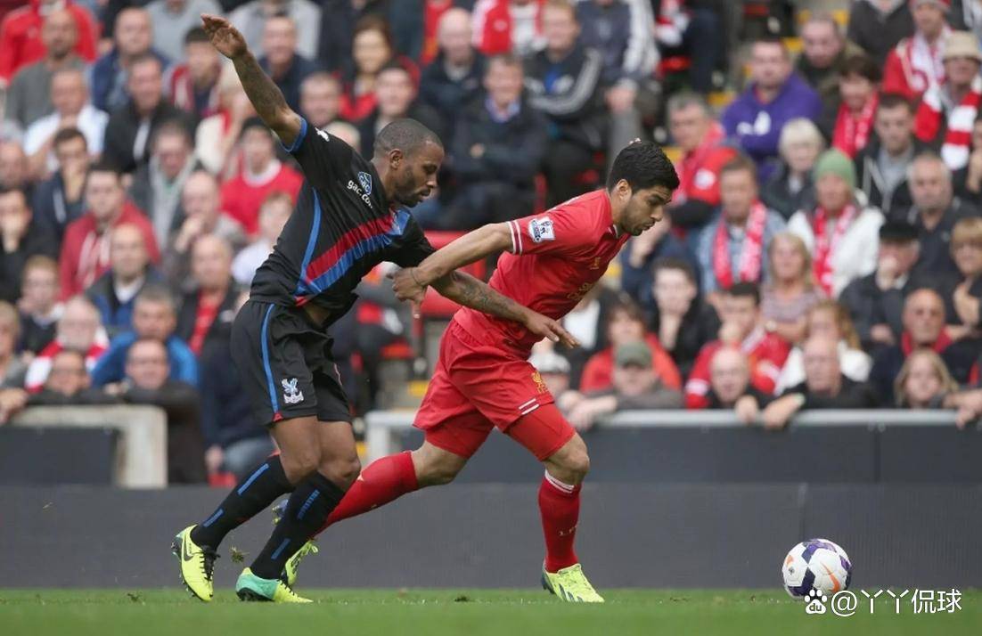 包含水晶宫主场保持不败，继续稳健前行的词条