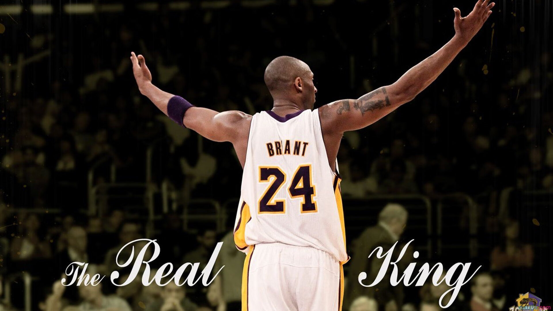 活塞法则,F1年度争冠焦点战启示录,浙江队如何被掀翻