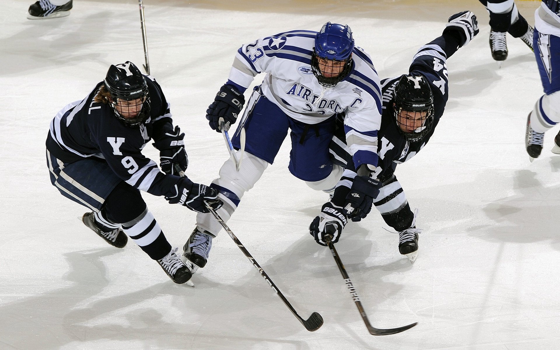 萨克拉门托的加冕礼,国王抢七制霸勇士,新时代的序章